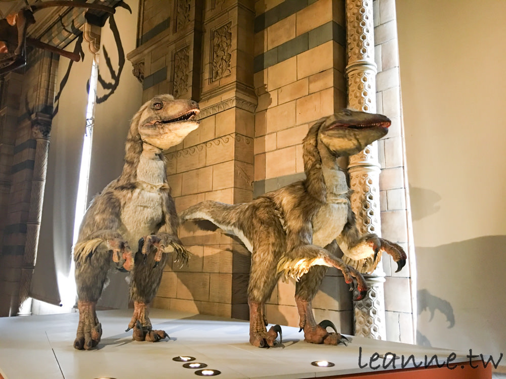 [英國倫敦親子]雨天行程也不無聊 自然歷史博物館看恐龍/Fortnum & Mason品嚐正統英式下午茶