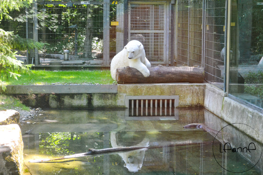 [德國親子行程]慕尼黑Hellabrunn動物園 動物種類多 遊樂設施豐富 半日行程推薦