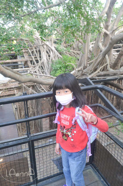 [台南親子景點]安平樹屋 林墨娘公園 讓小孩放電 大人放鬆