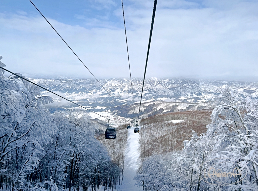 野澤滑雪場