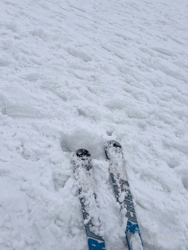 斑尾東急滑雪場